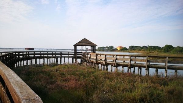 Il Giardino Botanico di Porto Caleri