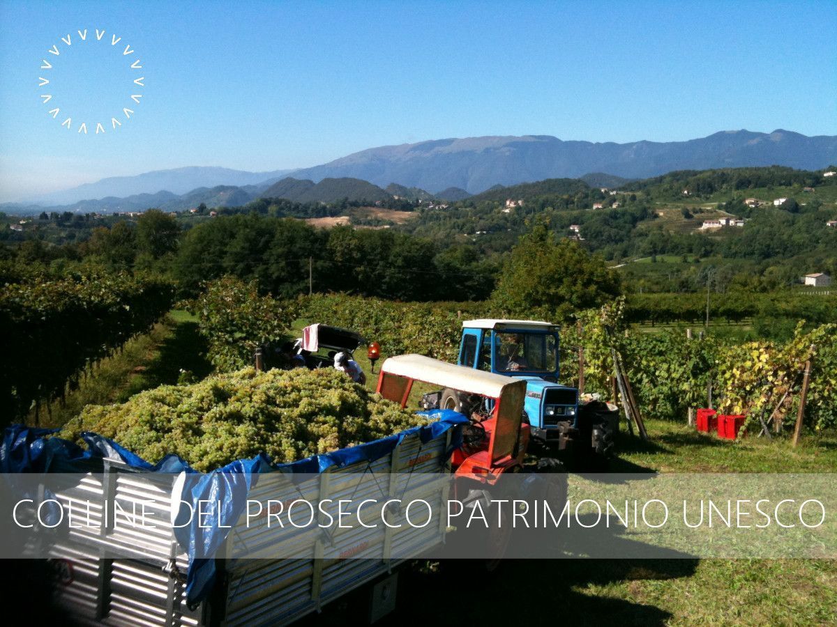 Colline del Prosecco Patrimonio Mondiale Unesco