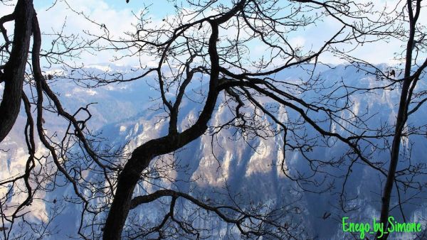 Altopiano Sette Comuni