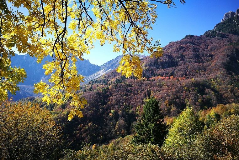 Foliage delle Prealpi vicentine