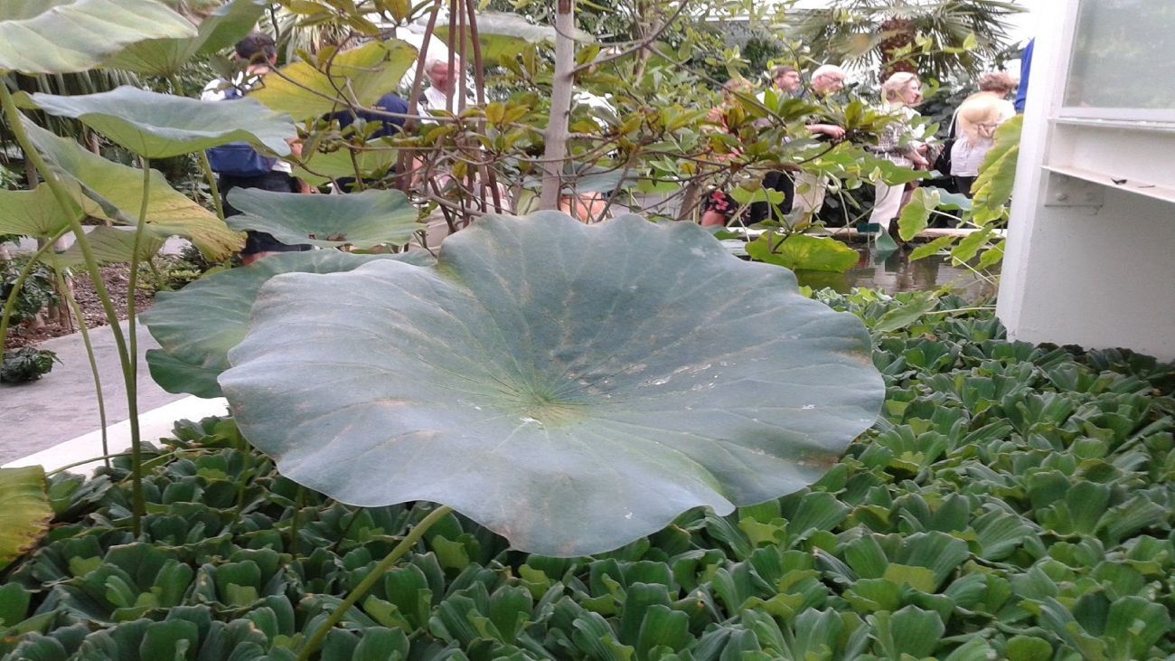 Giardino delle biodiversità