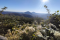 Monte Venda Sentiero Maronari punto panoramico