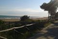 Bibione Natura
