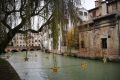 Treviso stelle