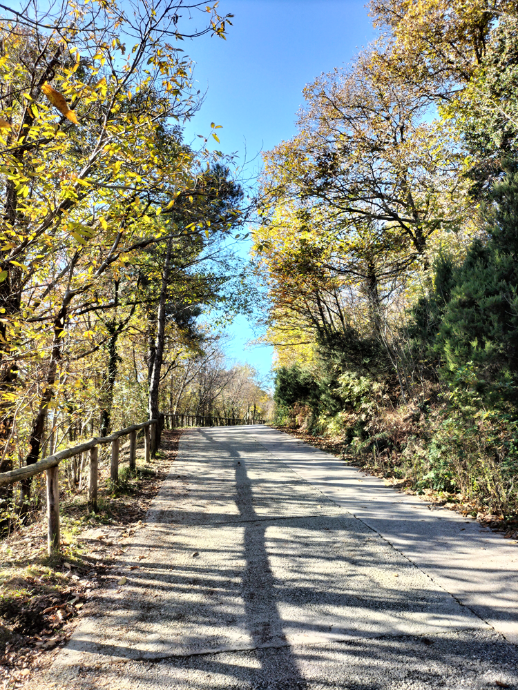 Percorso dei Maronari Monte Venda Percorso dei Maronari Monte Venda