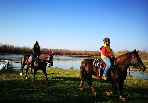 A cavallo nel bosco di Dese Cavalli nel bosco di Dese