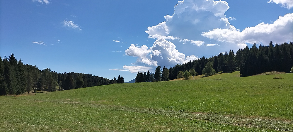 Valle dei Ciliegi 