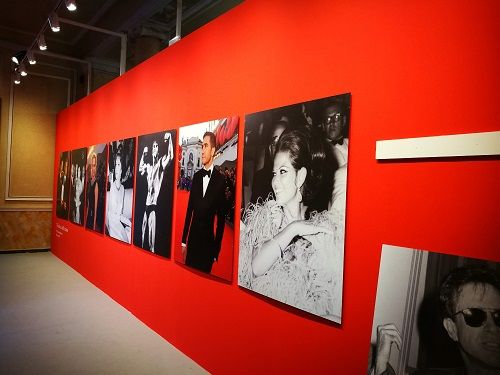 Il Cinema in Mostra al Lido di Venezia