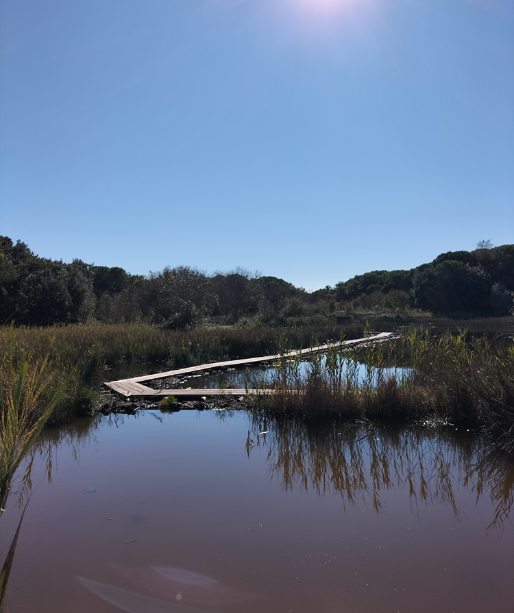 Passerelle in legno sull'acqua lungo il sentiero della Molinella 
