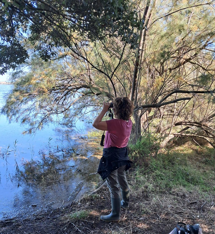 Avvistamento di un gruppo di fenicotteri rosa lungo il sentiero della Molinella 
