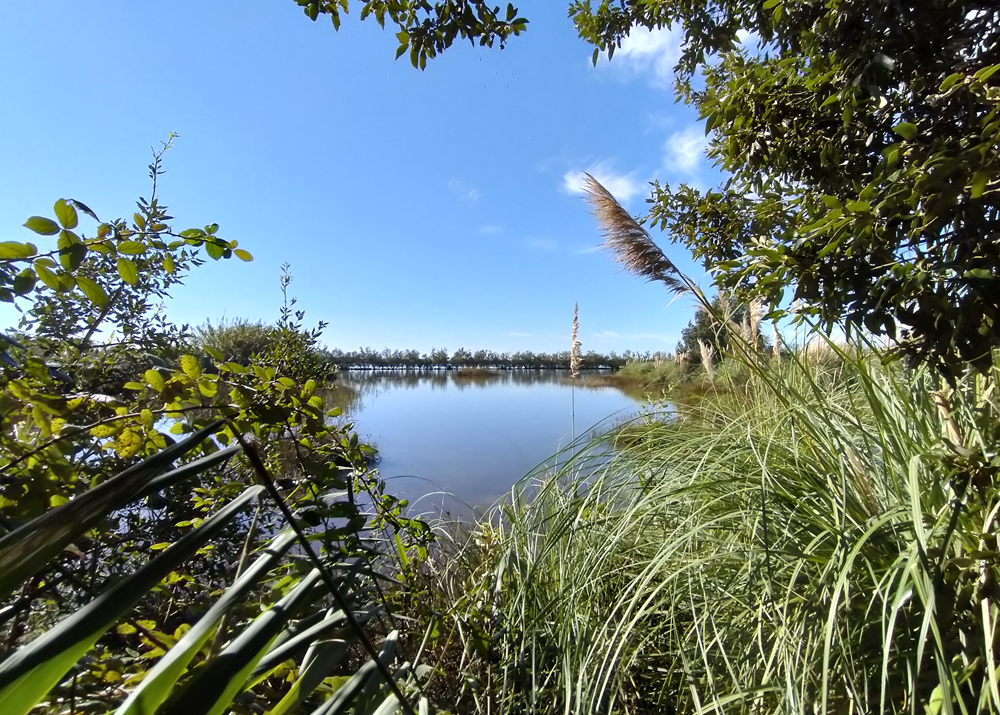 Valli di Laguna e canneti in Val Grande 
