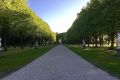 Dimore Storiche giardino