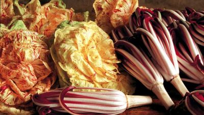 Radicchio rosso di Treviso e variegato