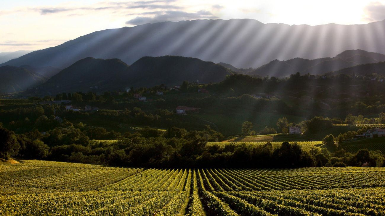Prosecco Bepin de Eto a San Pietro di Feletto