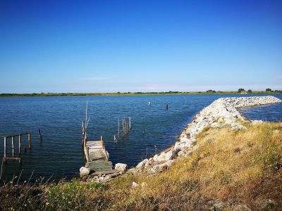 Alla scoperta del Parco Delta del Po: tra valli da pesca, natura selvaggia e tramonti