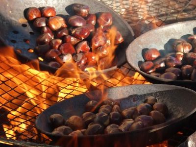 In provincia di Treviso si festeggia la castagna! Scoprite dove