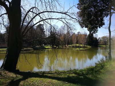 A Castelfranco Veneto; l'ottocentesca Villa Revedin Bolasco e il suo storico giardino.