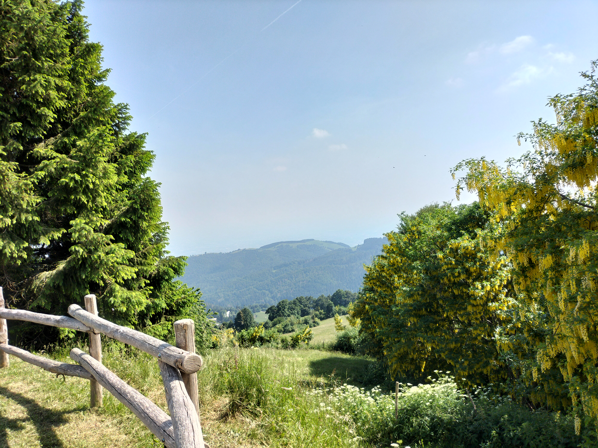 Monte Asolone