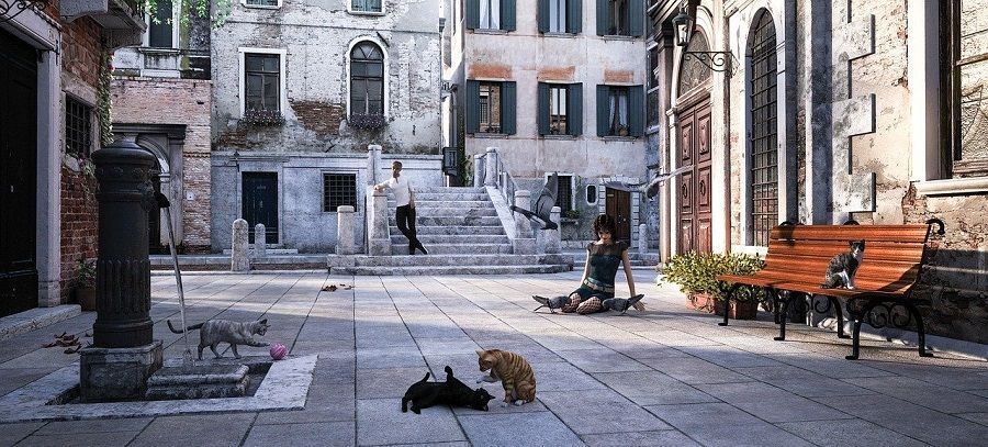 Gatti a Venezia