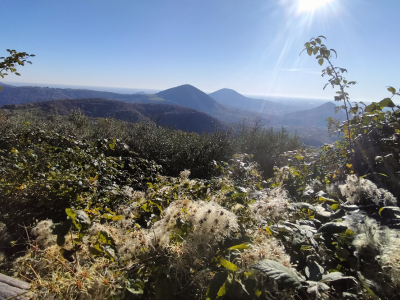 Alla scoperta del Sentiero dei Maronari nei Colli Euganei: una passeggiata per tutte le stagioni
