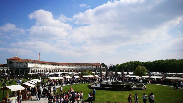 Villa Contarini mercatino