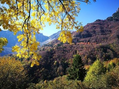 Suggerimenti per immergersi nel Foliage più variopinto del Veneto
