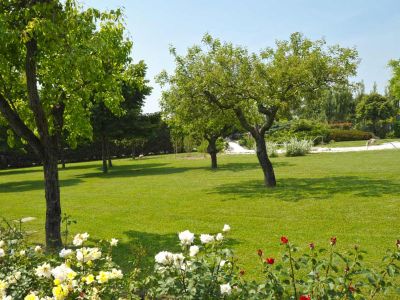 Alle Terme di Salzano i benefici curativi dell'acqua termale