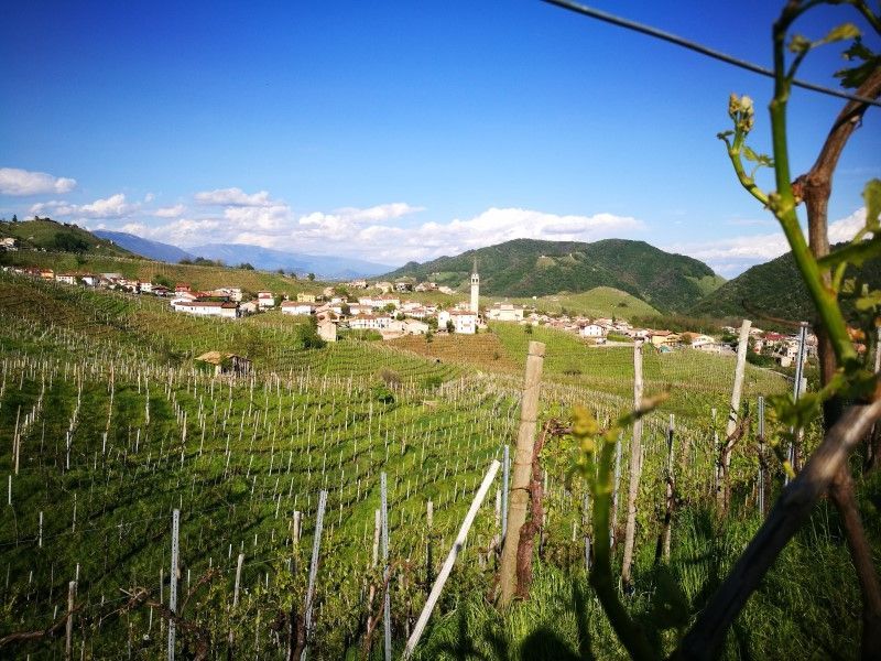 Colline del Prosecco