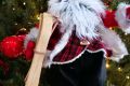 Villaggio di Natale Flover Babbo Natale