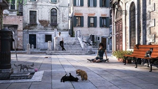 Gatti a Venezia