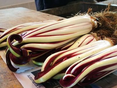 Perchè scegliere Radicchio di Treviso IGP?