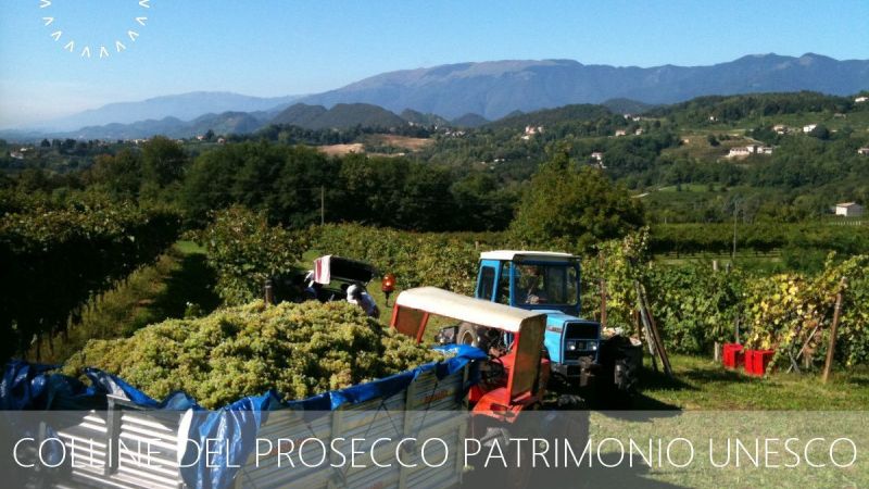 Colline del Prosecco Patrimonio Mondiale Unesco