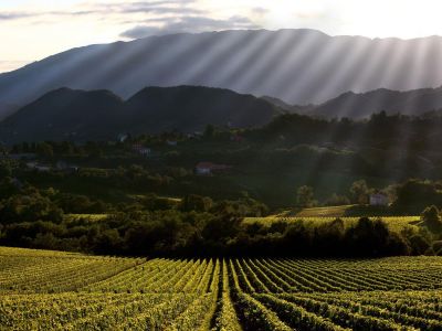 Il Prosecco di Bepin de Eto