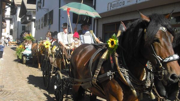 Se Desmonteghea sfilata