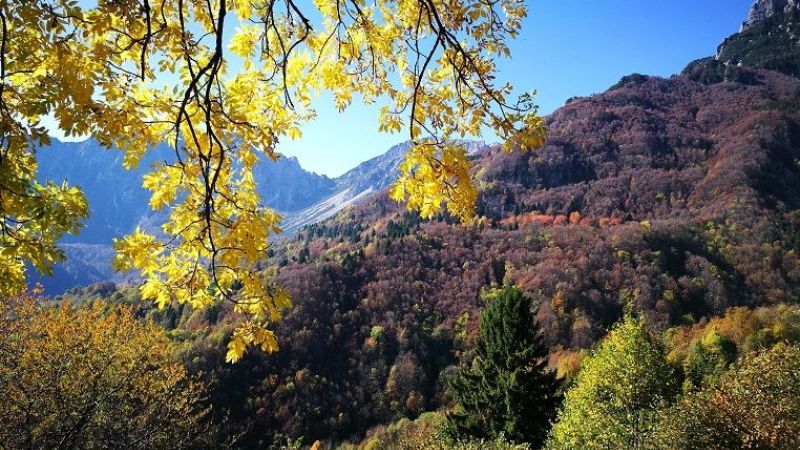 Foliage delle Prealpi vicentine
