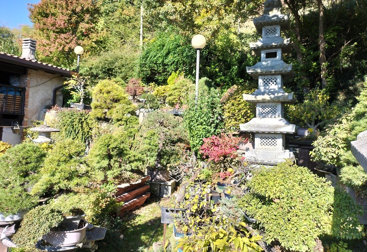 Giardino Museo Bonsai Tarzo