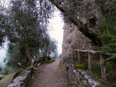 Scopri Campo di Brenzone, il borgo incantato sul Lago di Garda