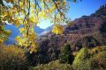 Foliage delle Prealpi vicentine