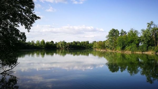 Parco Laghetti Martellago