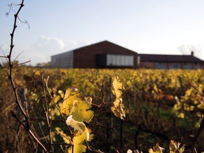 Cantina 47 Anno Domini