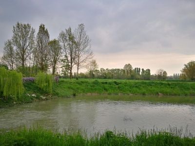 L'Oasi Lycaena e la sua bellissima farfalla dalle ali arancioni