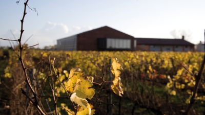 Cantina 47 Anno Domini