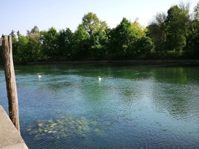 Alzaia del Sile! Una passeggiata a 4 sensi