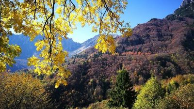 Foliage delle Prealpi vicentine