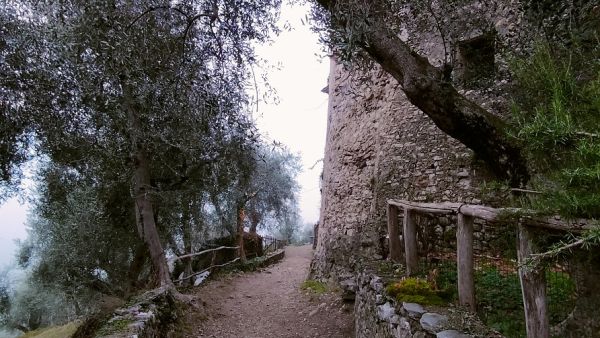 Campo di Brenzone borgo medievale
