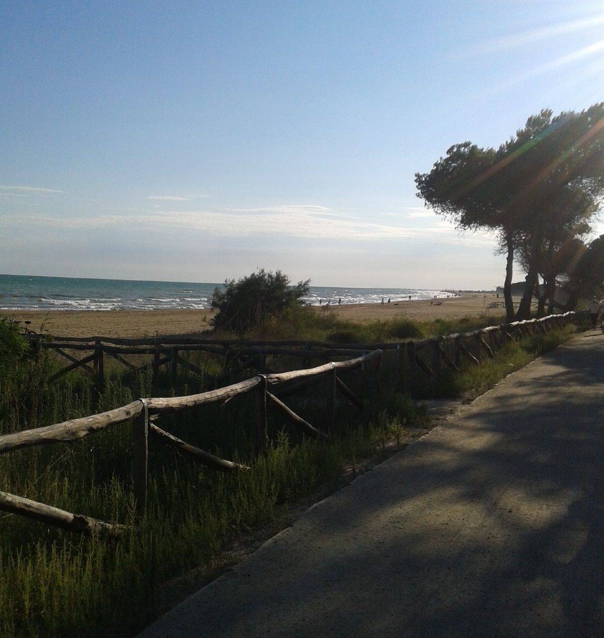 Bibione Natura