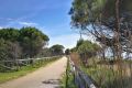 Bibione in bicicletta