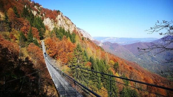 Ponte Tibetano o Ponte Avis Valli del Pasubio