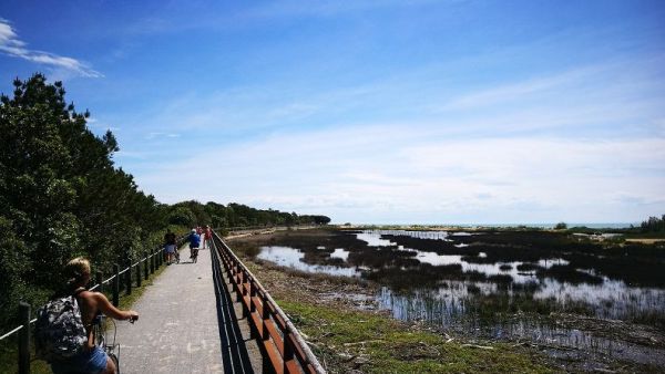 Bibione pista ciclabile
