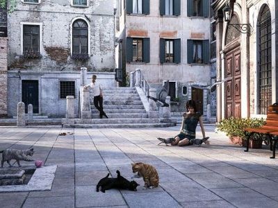 Venezia e i suoi gatti: curiosità e fatti storici